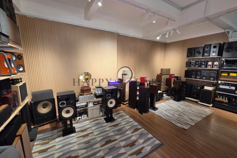 Professional System Setup, Matching, Room Acoustic and Placement Consultation