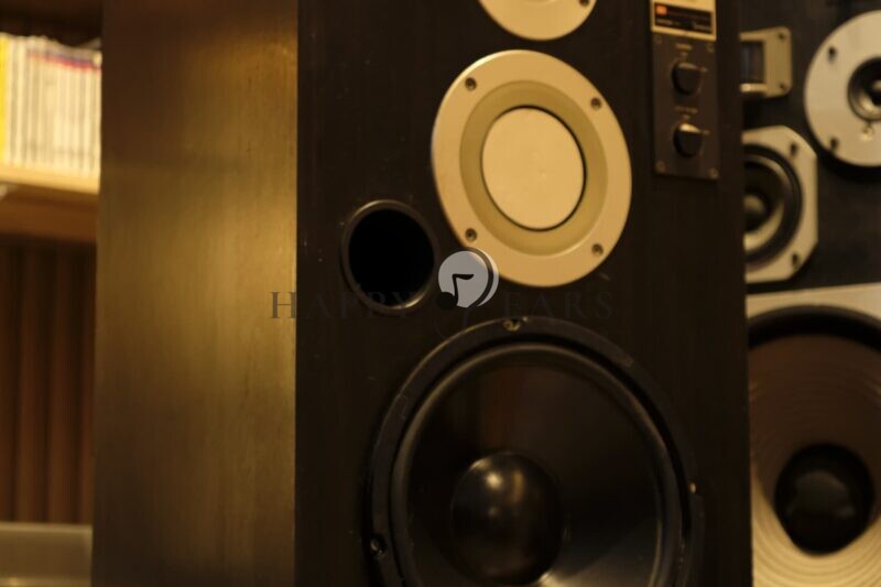 Technics SB-X500 10" Woofer Honey Comb Disc Aluminum Diaphragm Vintage 3 way speaker